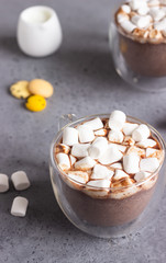 Glass cup of hot chocolate or cocoa drink with marshmallows. Traditional winter or autumn hot drink. Holiday concept, Selective focus.
