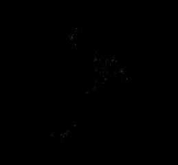 Green white fractal pattern. Fantasy fractal texture. Digital art. 3D rendering. Computer generated image.