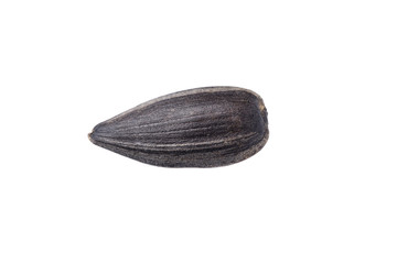 Sunflower seeds isolated on white background.