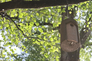 BirdHouse