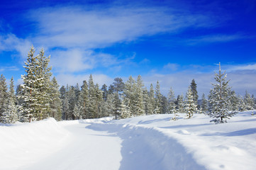 Winter landscape with country road