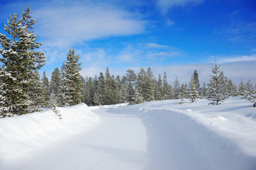 Fototapeta na wymiar Winter landscape with country road
