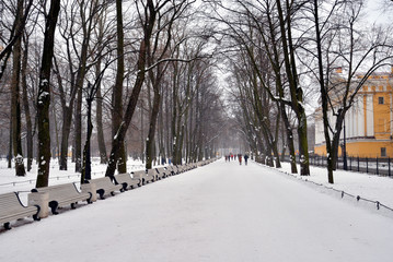 Alley in Alexander Garden at winter.