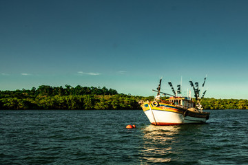 Boat on the bayou, Brazil, Barco no Manguezal de Santa Cruz, Aracruz, Espírito Santo , Brasil