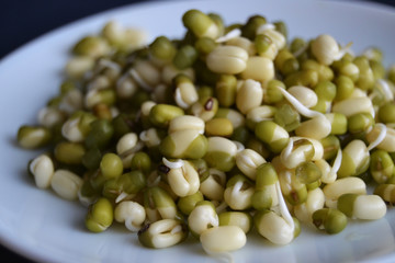 Mung bean sprouts in the white plate. fresh raw organic vegan food. 