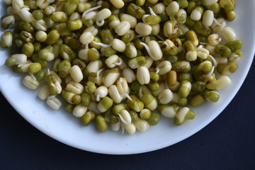 Mung bean sprouts in the white plate. fresh raw organic vegan food. 