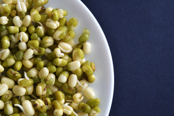 Mung bean sprouts in the white plate. fresh raw organic vegan food. 