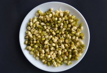 Mung bean sprouts in the white plate. fresh raw organic vegan food. 