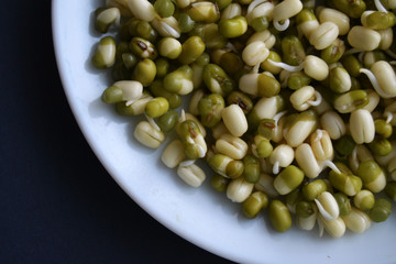 Mung bean sprouts in the white plate. fresh raw organic vegan food. 