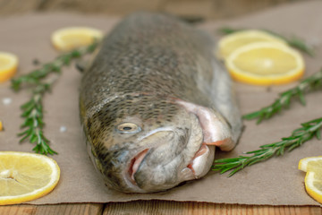 rainbow trout decorated with rosemary, lemon and spices on paper and dried table