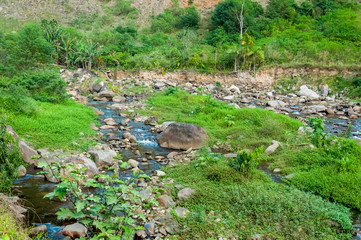 stream in forest - Blumenau SC Brasil