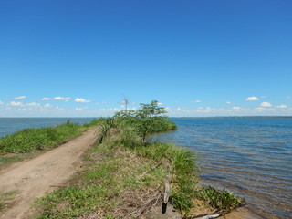 The Parana River, in South America is the largest river