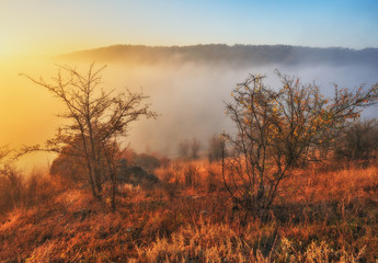 fog over the canyon of the picturesque river. autumn morning in national park