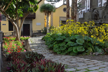 Camino entre la plaza
