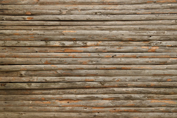 Obraz premium Wood Texture Background