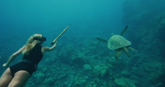 Beautiful freediver woman with speargun swims alongside sea turtle and surfaces