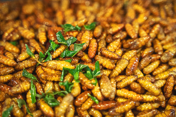 Fried insects, in the walking street market, Phuket Thailand