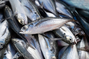 Sea fish, in the walking street market, Phuket Thailand
