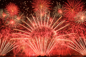 London new year fireworks display 2019