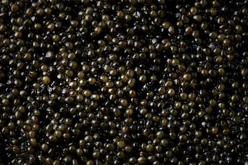 Foto op Aluminium Black caviar background. High quality natural sturgeon caviar closeup. Delicatessen © Subbotina Anna