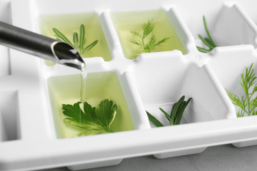 Pouring oil into ice cube tray with herbs, closeup
