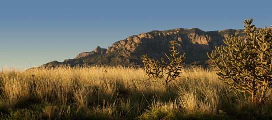 Sunset over New Mexico desert and the Sandia Mountains, outside of Albuquerque