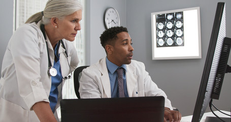 Close up of two doctors looking at computer monitor comparing notes. Young black doctor typing on laptop computer while consulting with white senior colleague