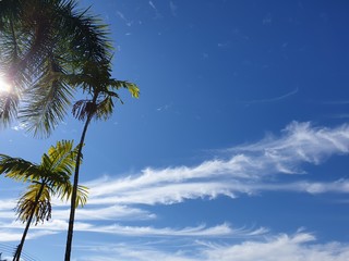 Cirrus  clouds  with  blue  sky  in  the  winter 