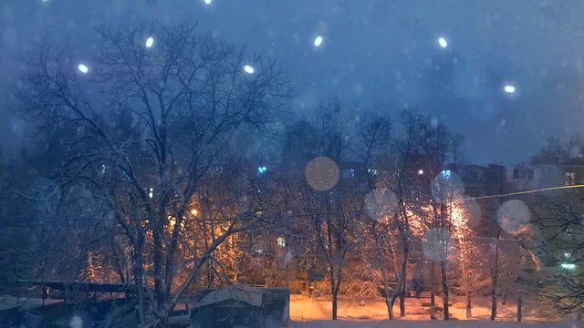 Plotagraph - winter weather on the yard outside, falling snow, merry lights on the foreground