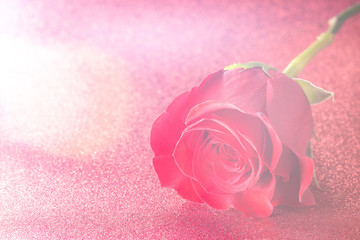 Single Red Rose on a Red Glitter Table