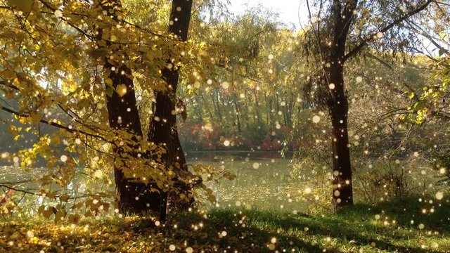 Plotagraph - autumn lake with spakling lights