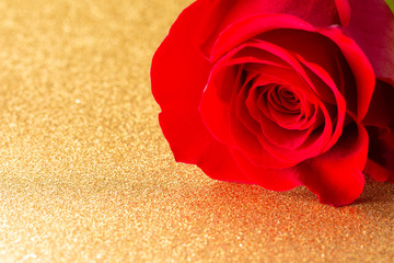 Single Red Rose on a Golden Table