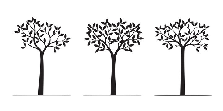 Black shape of Trees with Leaves. Vector Illustration.