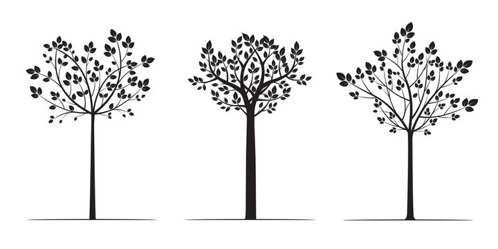 Black Spring Trees with Leaves. Vector Illustration.