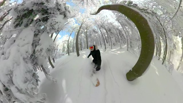 SELFIE VR 360: Extreme female snowboarder riding through the empty forest covered in the fresh powder snow. Athletic girl riding her snowboard through the dangerous coniferous woods in the Alps.