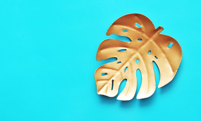 Palm leaf on trendy color background.
