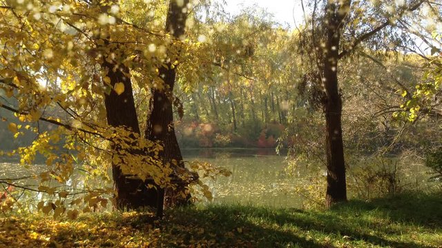 Plotagraph - autumn lake with spakling lights