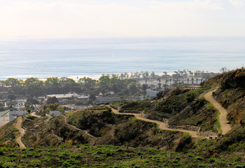View from Hills Above Ventura, California of the Pacific Ocean, City, and Flora