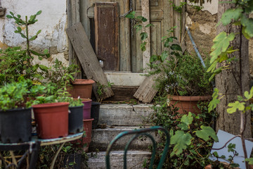 Fototapeta na wymiar soft focus poor garden environment with wooden door concrete stairs and vases with plants in slum ghetto city district one of back yard apartment building