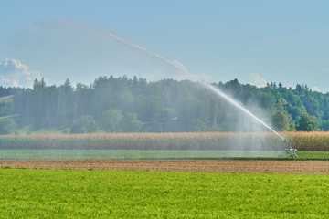Landwirtschaft wässerung