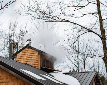 Steam rising from maple house cupola