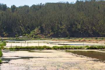 Fototapeta premium Salinas de Barrancas en Chile central región de O´Higgins