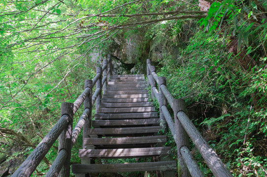 Wooden steps in the ground and railings ,the Mitarai ravine Nara.