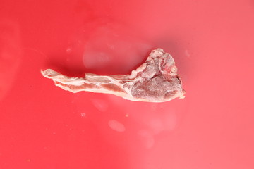 frozen lamb ribs on colorful background