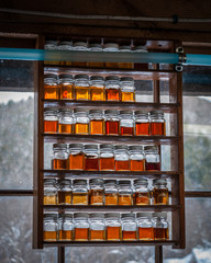 Maple syrup samples from each day's run