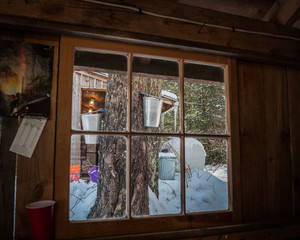 Sugar maple buckets through window of saphouse