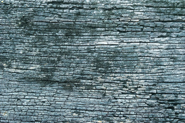 Old wood texture with natural