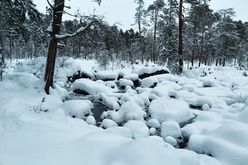 Winter Snowy Landscape