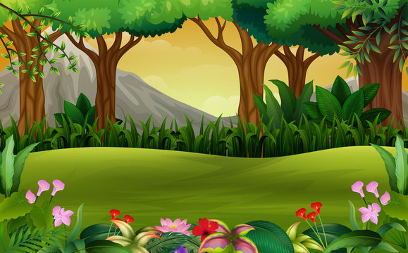Cartoon Jungle Scene Images – Browse 32,829 Stock Photos, Vectors, and  Video | Adobe Stock
