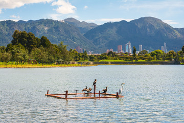 Montañas de Bogotá desde el Parque Simón Bolivar
